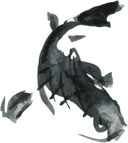 鯉